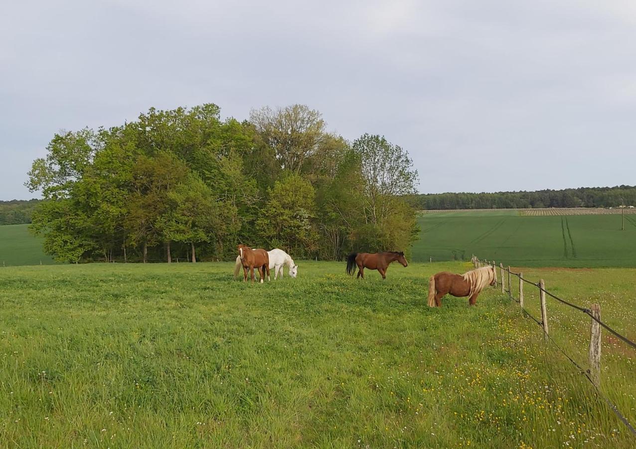 Willa Les Pres Du Petit Morlu - Proche Beauval Saint-Romain-sur-Cher Zewnętrze zdjęcie